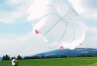 超轻型降落伞/轻型运动飞机降落伞/无人驾驶飞机降落伞/试验型飞机/轻型飞机救生系统
